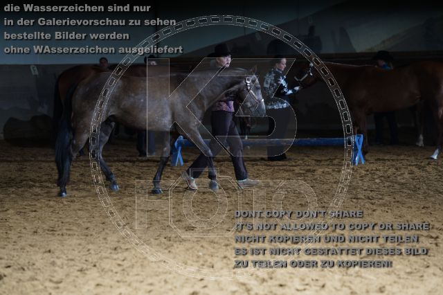 s_K3F01516.JPG
